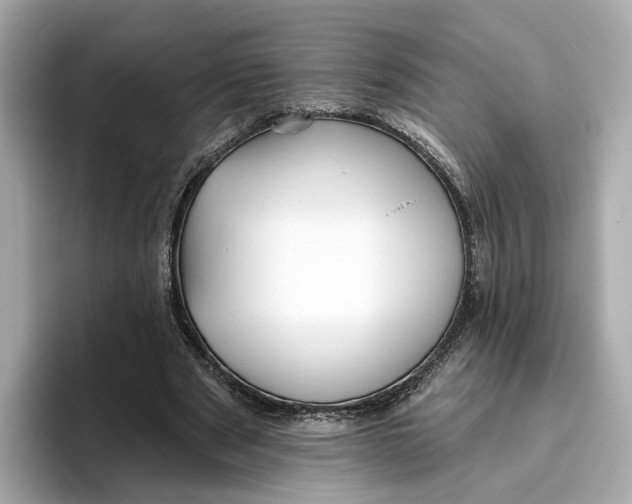 X0000096450489200802141515