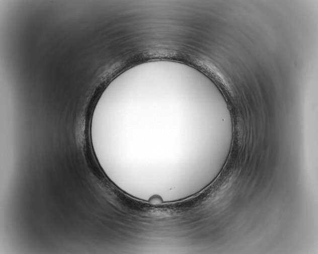 X0000096450490200802141515