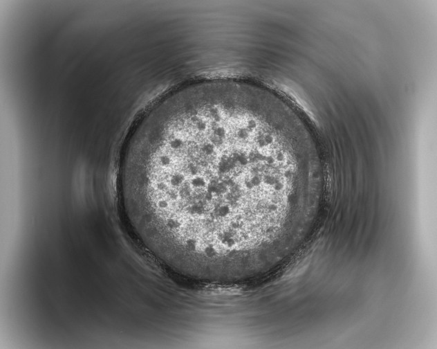 X0000096450491200802141515