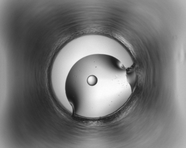 X0000096450493200802141515