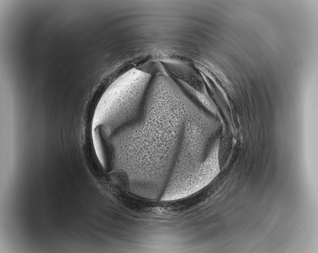 X0000096450496200802141515