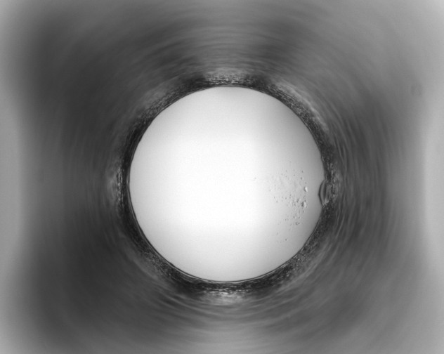 X0000096450498200802141515