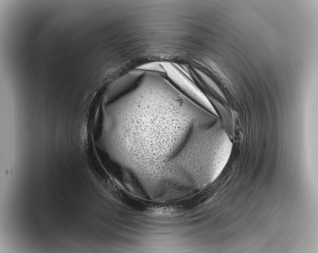 X0000096450500200802141515