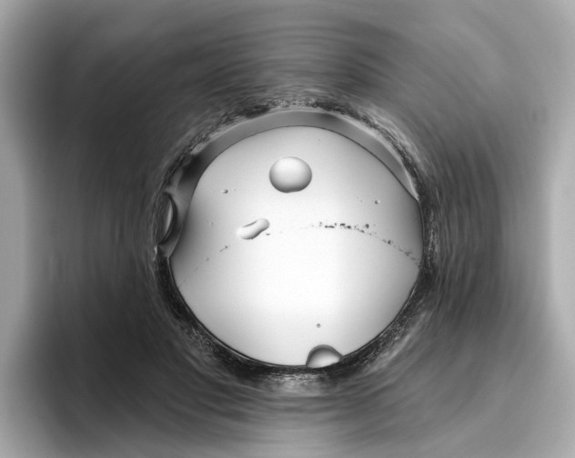 X0000096450501200802141515