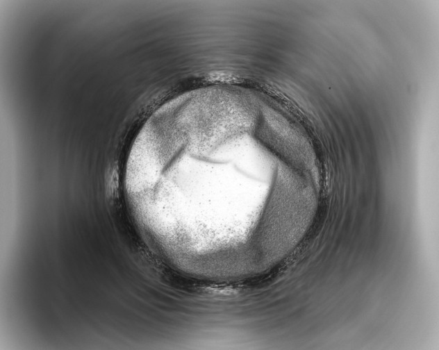 X0000096450502200802141515