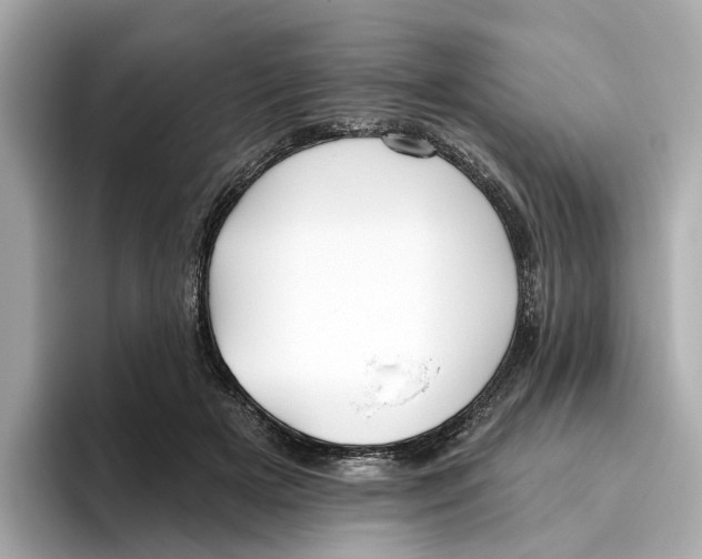 X0000096450505200802141515