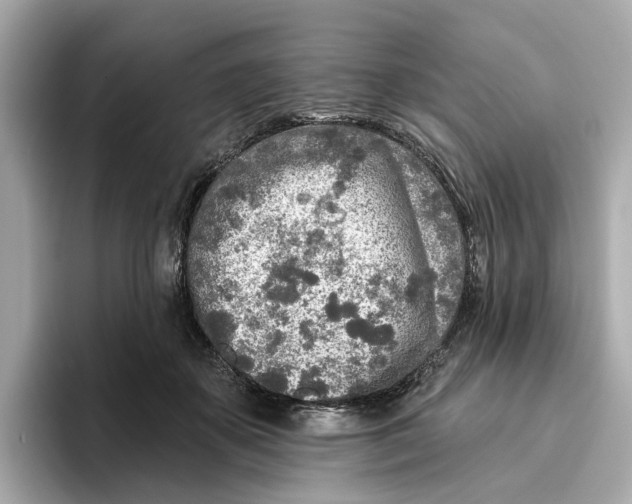 X0000096450507200802141515