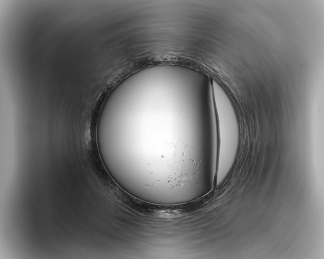 X0000096450508200802141515