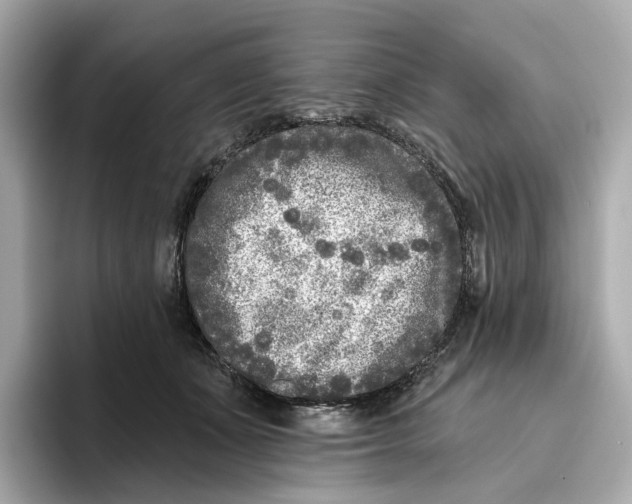 X0000096450511200802141515