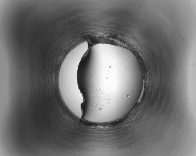 X0000096450512200802141515