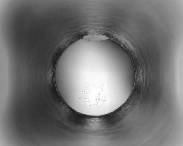 X0000096450513200802141515