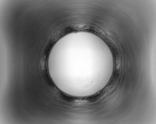 X0000096450515200802141515