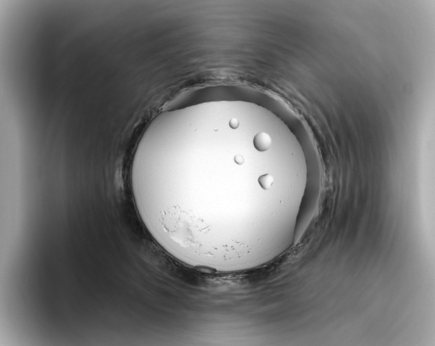 X0000096450516200802141515