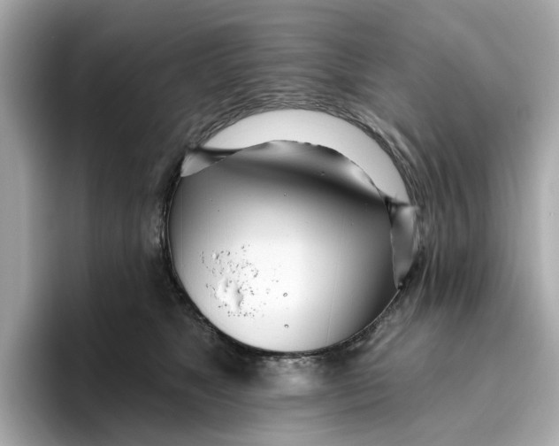 X0000096450517200802141515