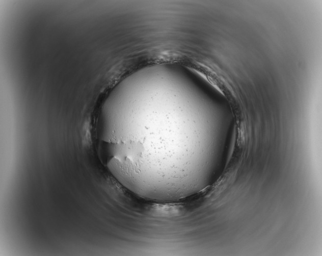 X0000096450520200802141515