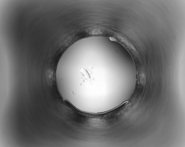 X0000096450521200802141515