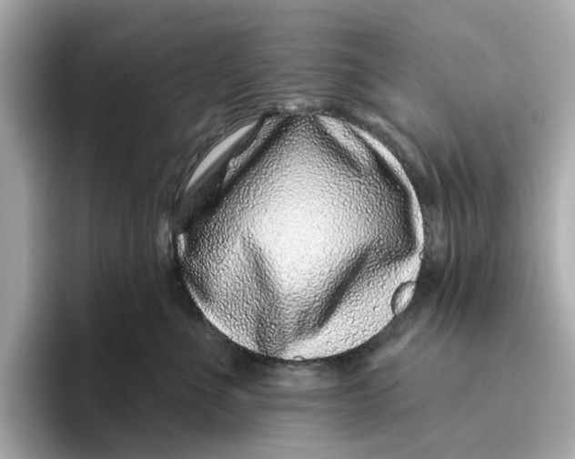 X0000096450523200802141515