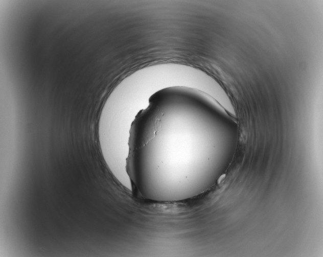 X0000096450524200802141515