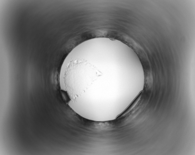 X0000096450525200802141514