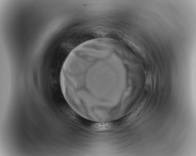 X0000096450526200802141514