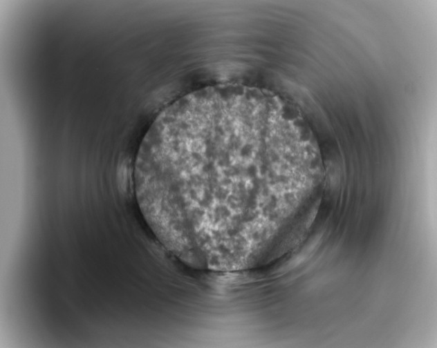 X0000096450527200802141514