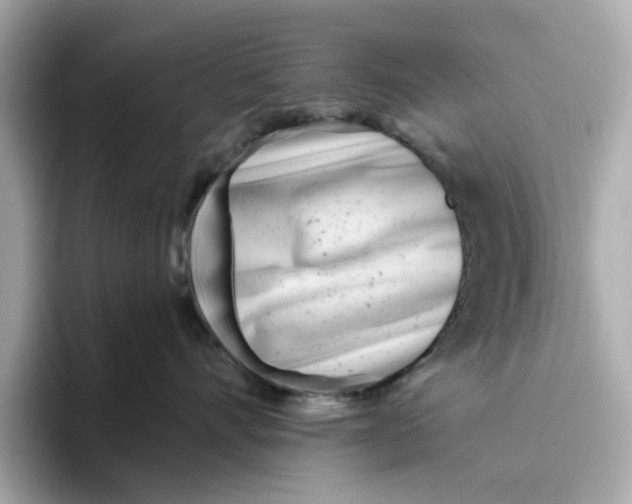 X0000096450528200802141514