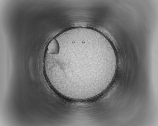 X0000096450529200802141514