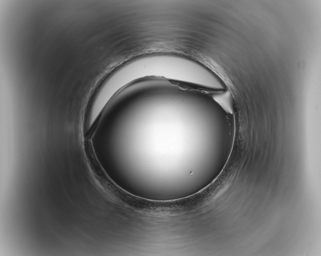 X0000096450530200802141514