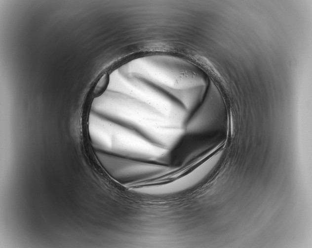 X0000096450531200802141514