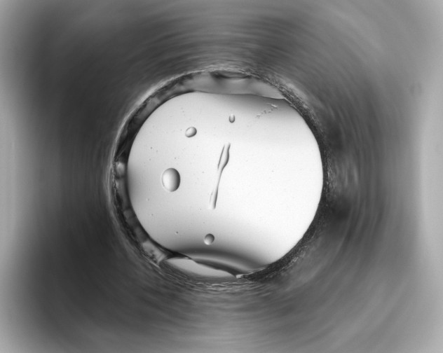 X0000096450532200802141514