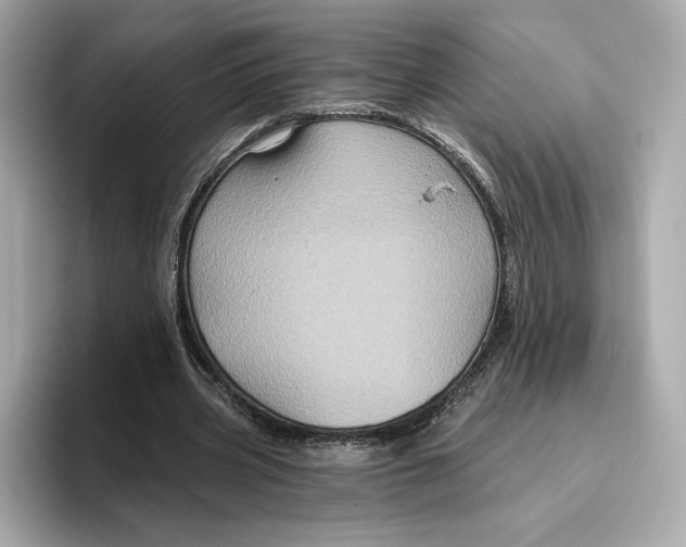 X0000096450533200802141514