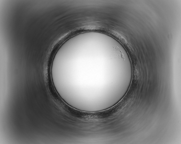 X0000096450535200802141514