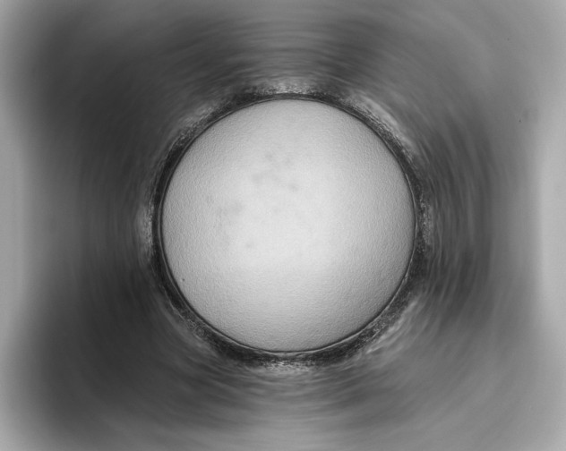 X0000096450537200802141514