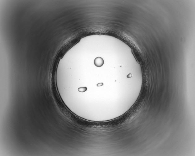 X0000096450538200802141514