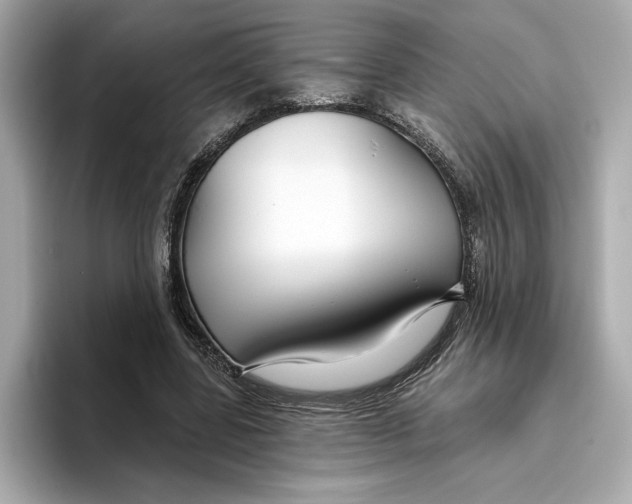 X0000096450539200802141514