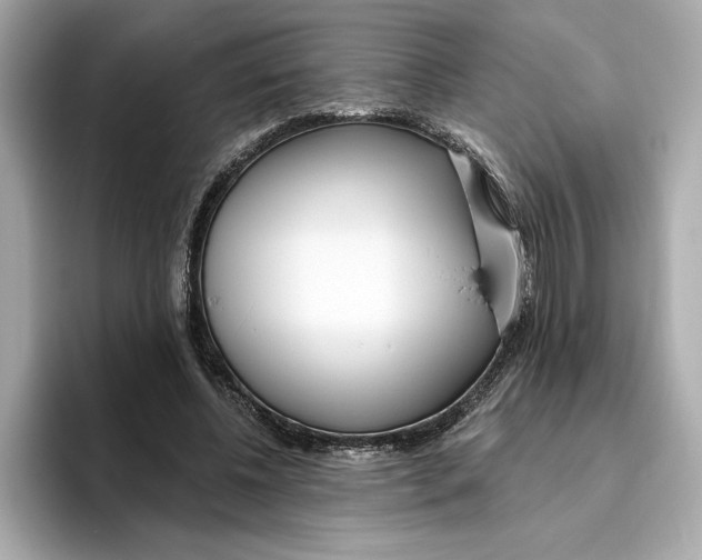 X0000096450540200802141514