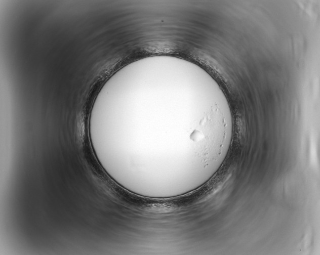 X0000096450541200802141514