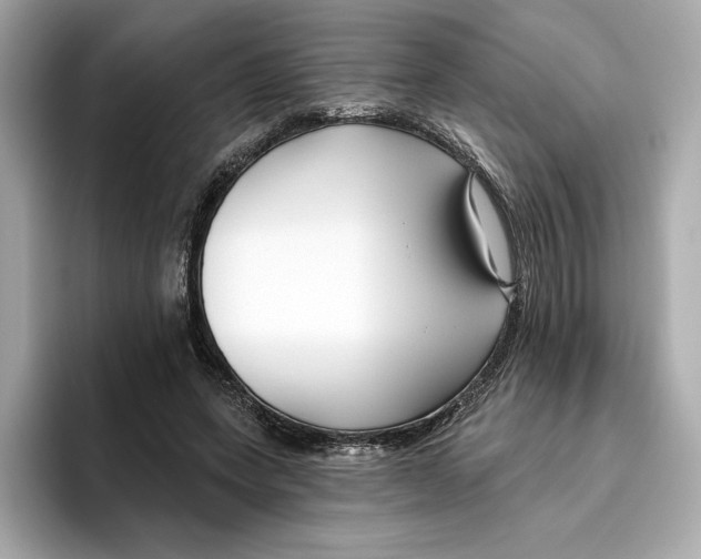 X0000096450543200802141514