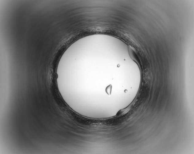 X0000096450544200802141514