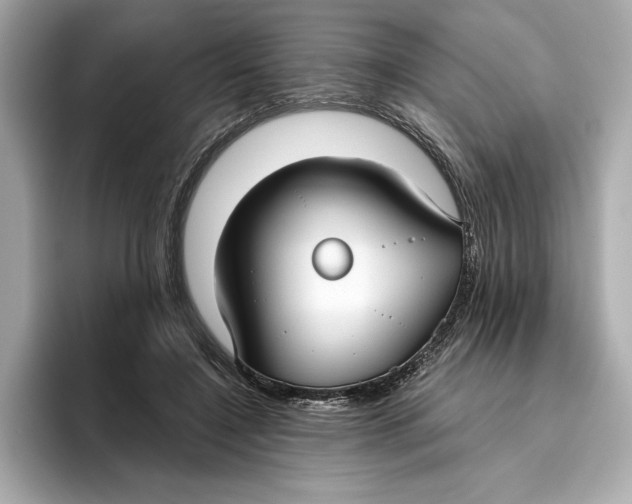 X0000096450548200802141514