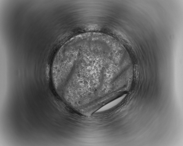 X0000096450550200802141514