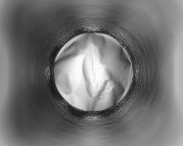 X0000096450551200802141514