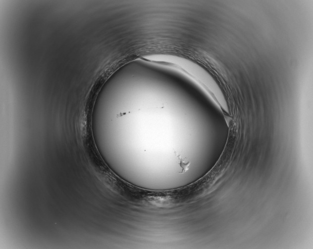 X0000096450552200802141514