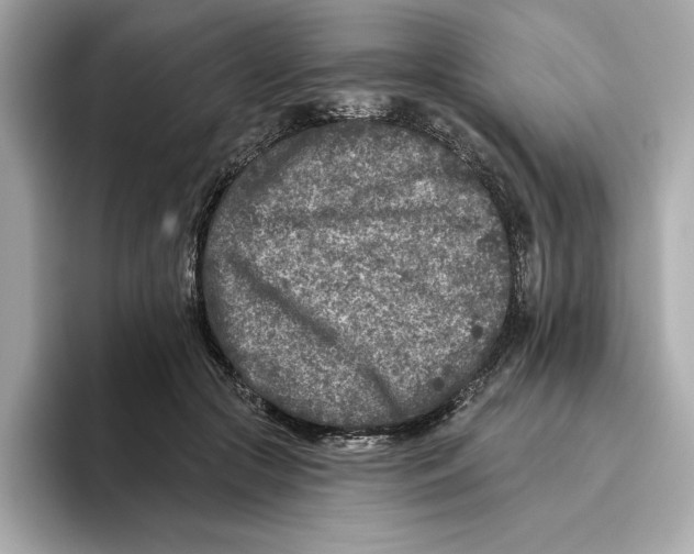 X0000096450553200802141514