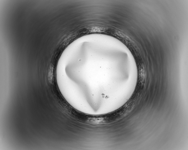 X0000096450554200802141514