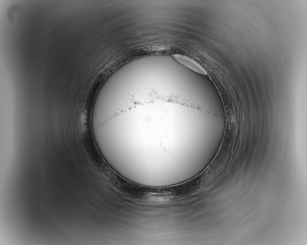 X0000096450556200802141514