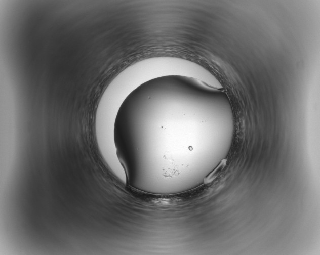 X0000096450558200802141514