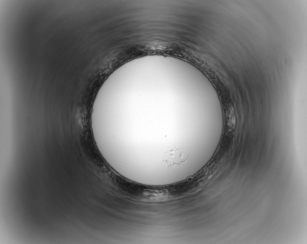 X0000096450559200802141514