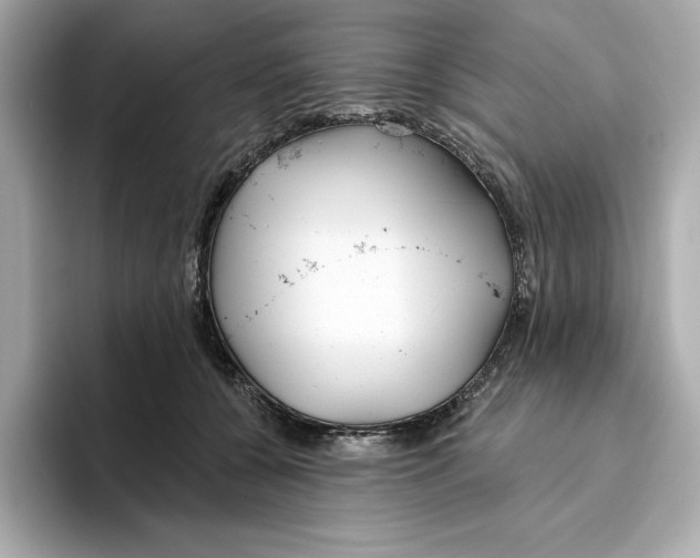 X0000096450560200802141514