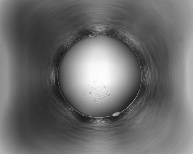 X0000096450562200802141514